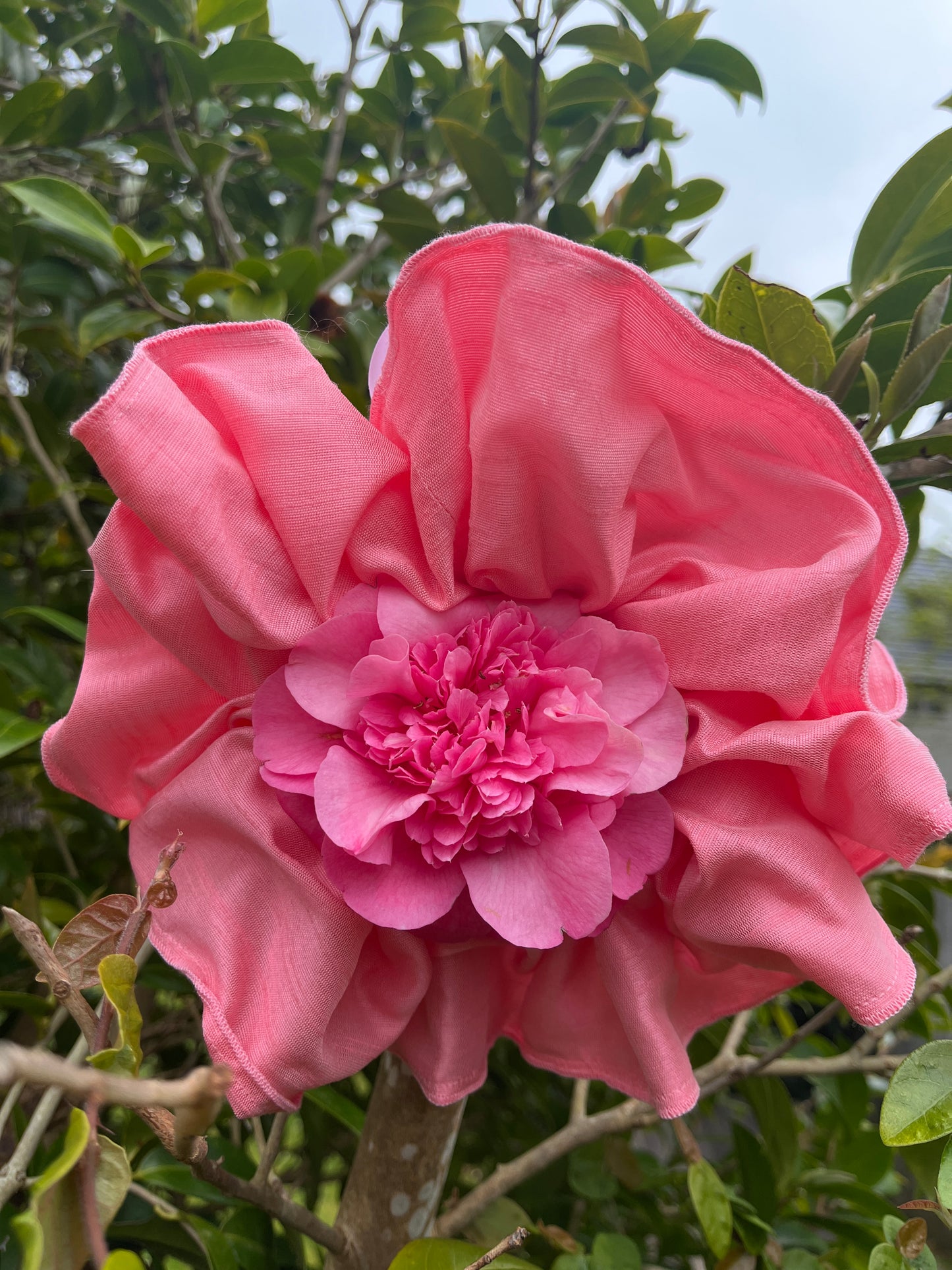 Scrunchie - Lolly Pink