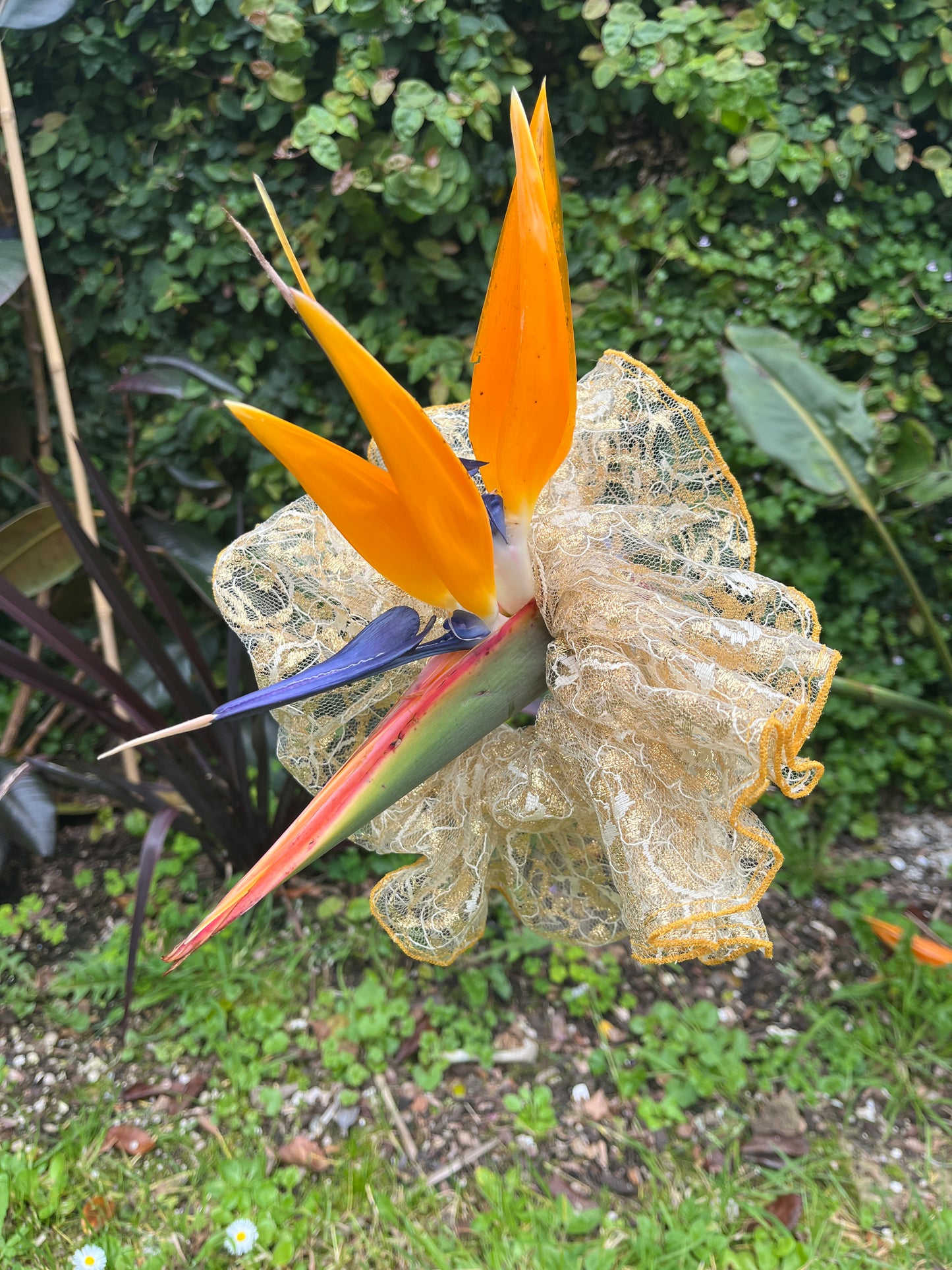 Scrunchie - Gold Lamé Lace