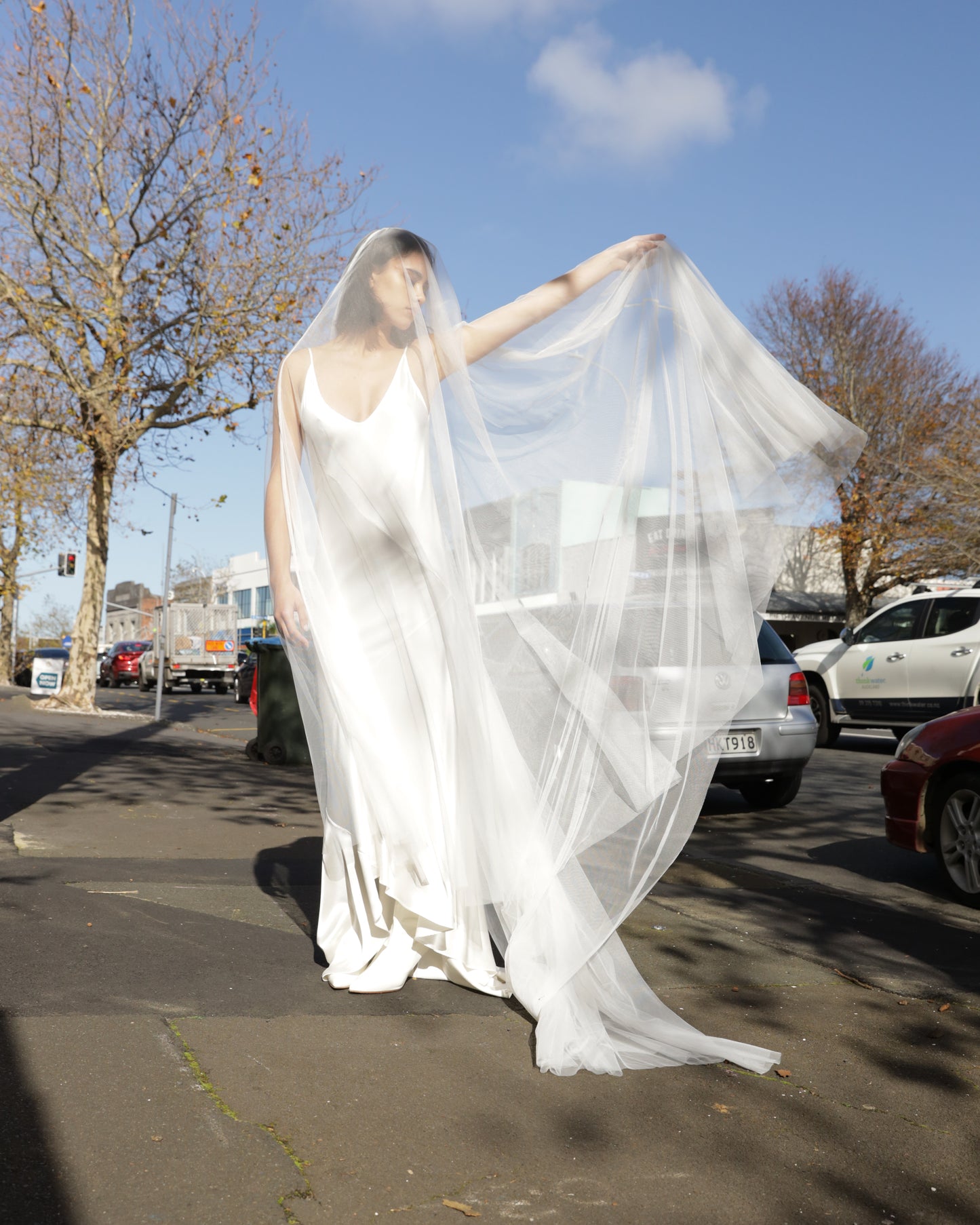 Custom Veil