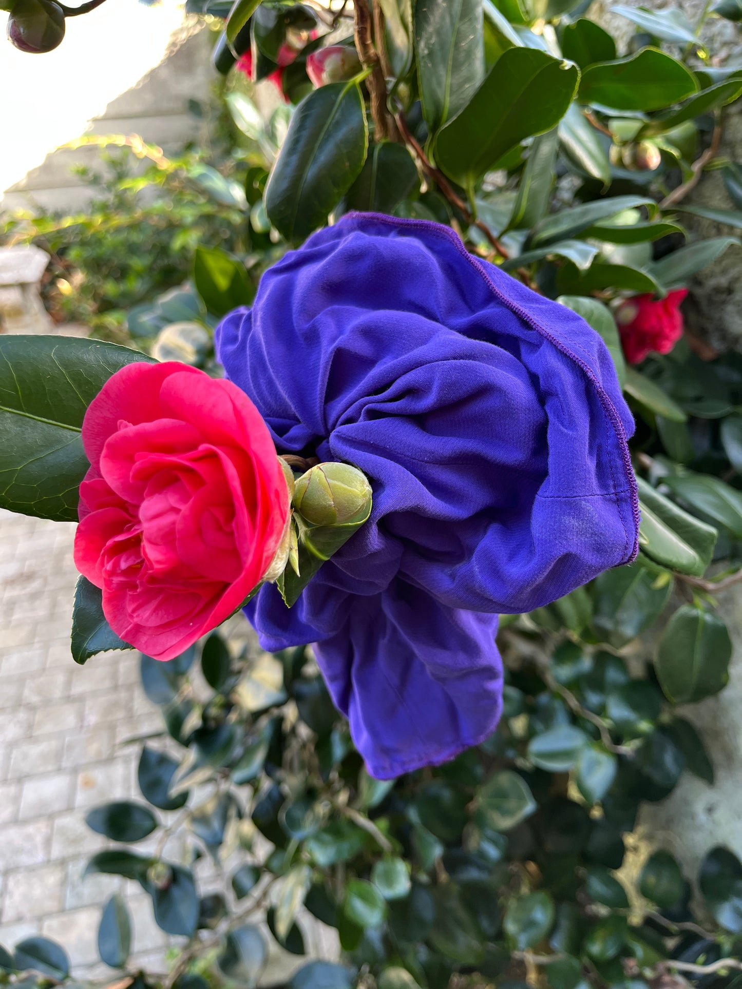 Scrunchie ~ Deeply Purple
