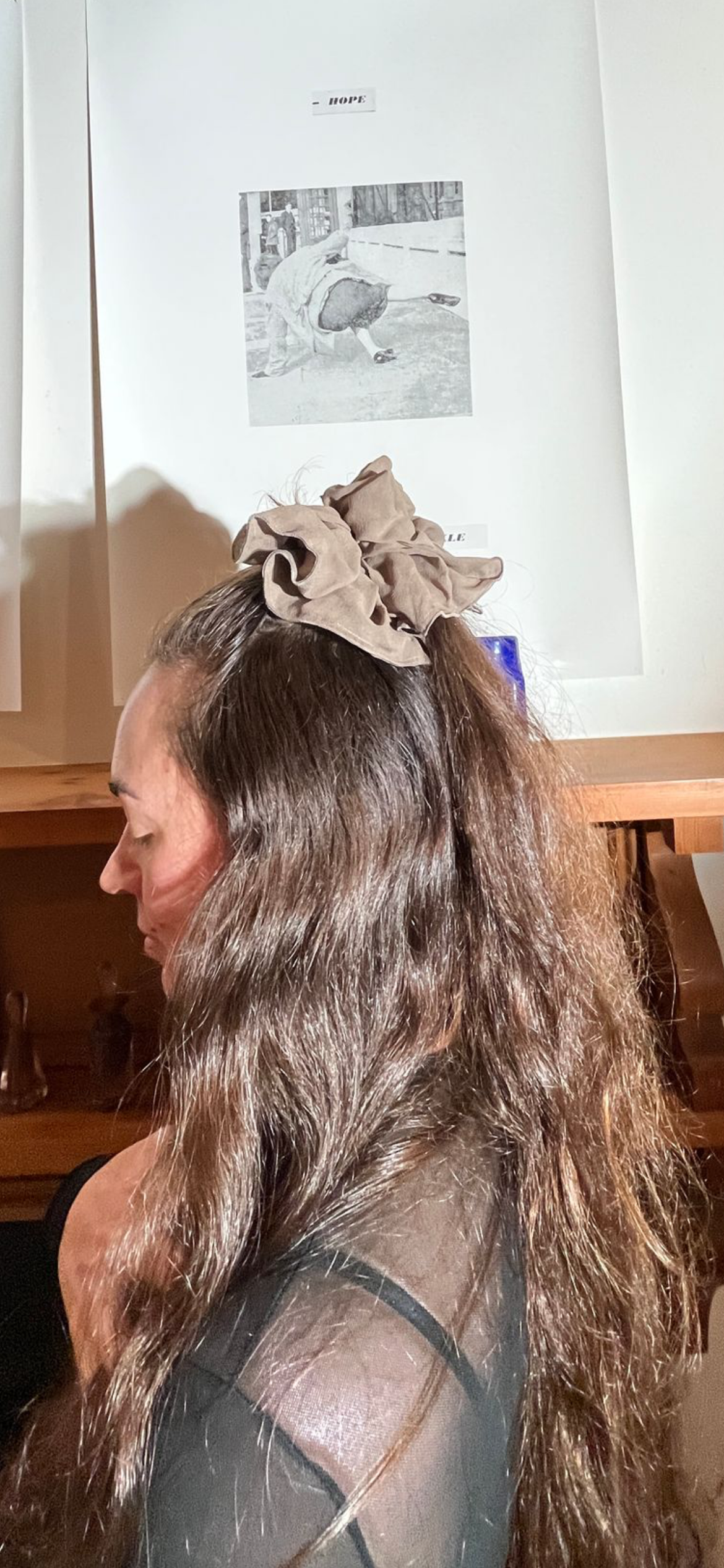 Scrunchie ~ Fawn Silk Chiffon