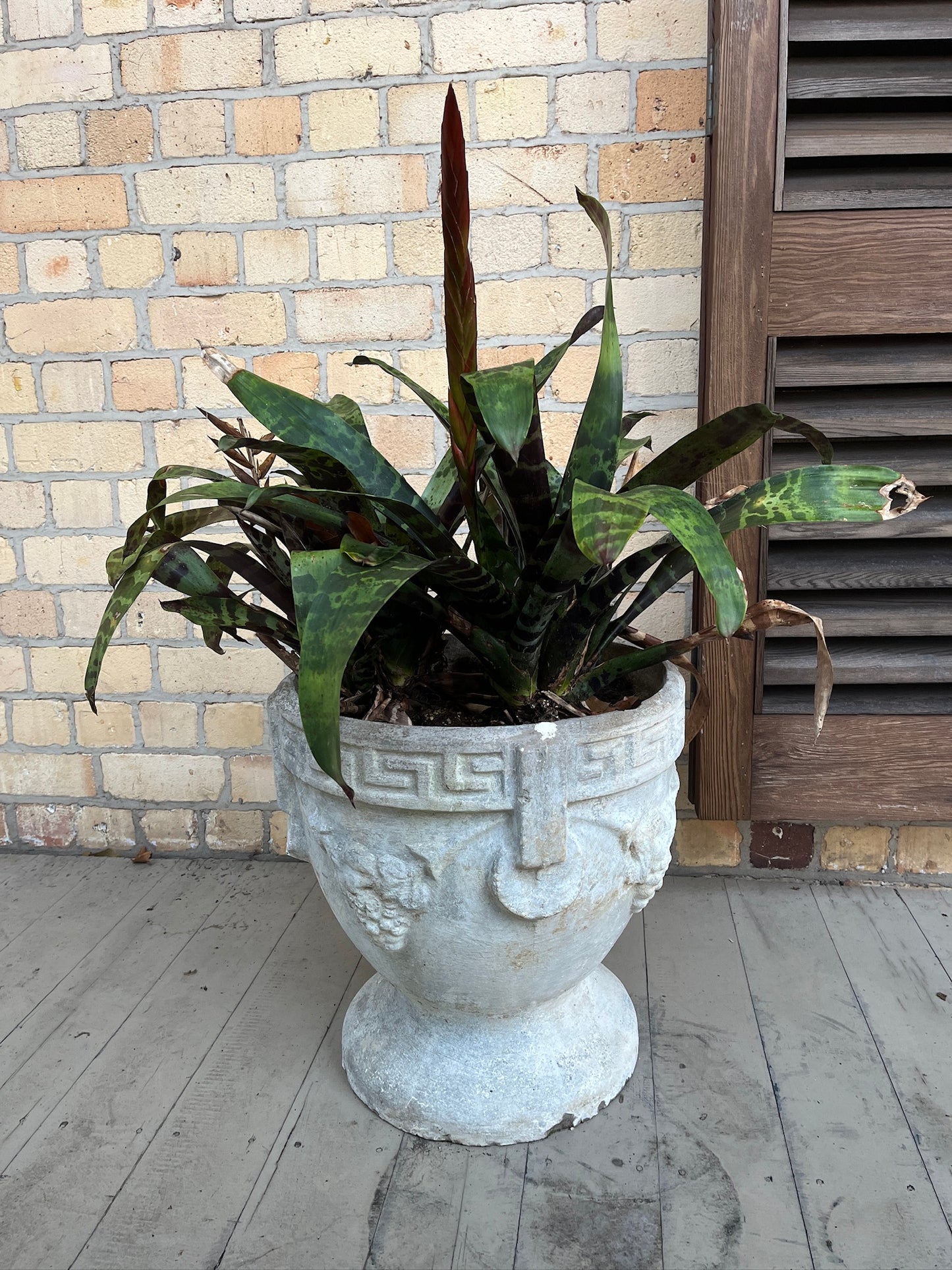 Italiano Urn