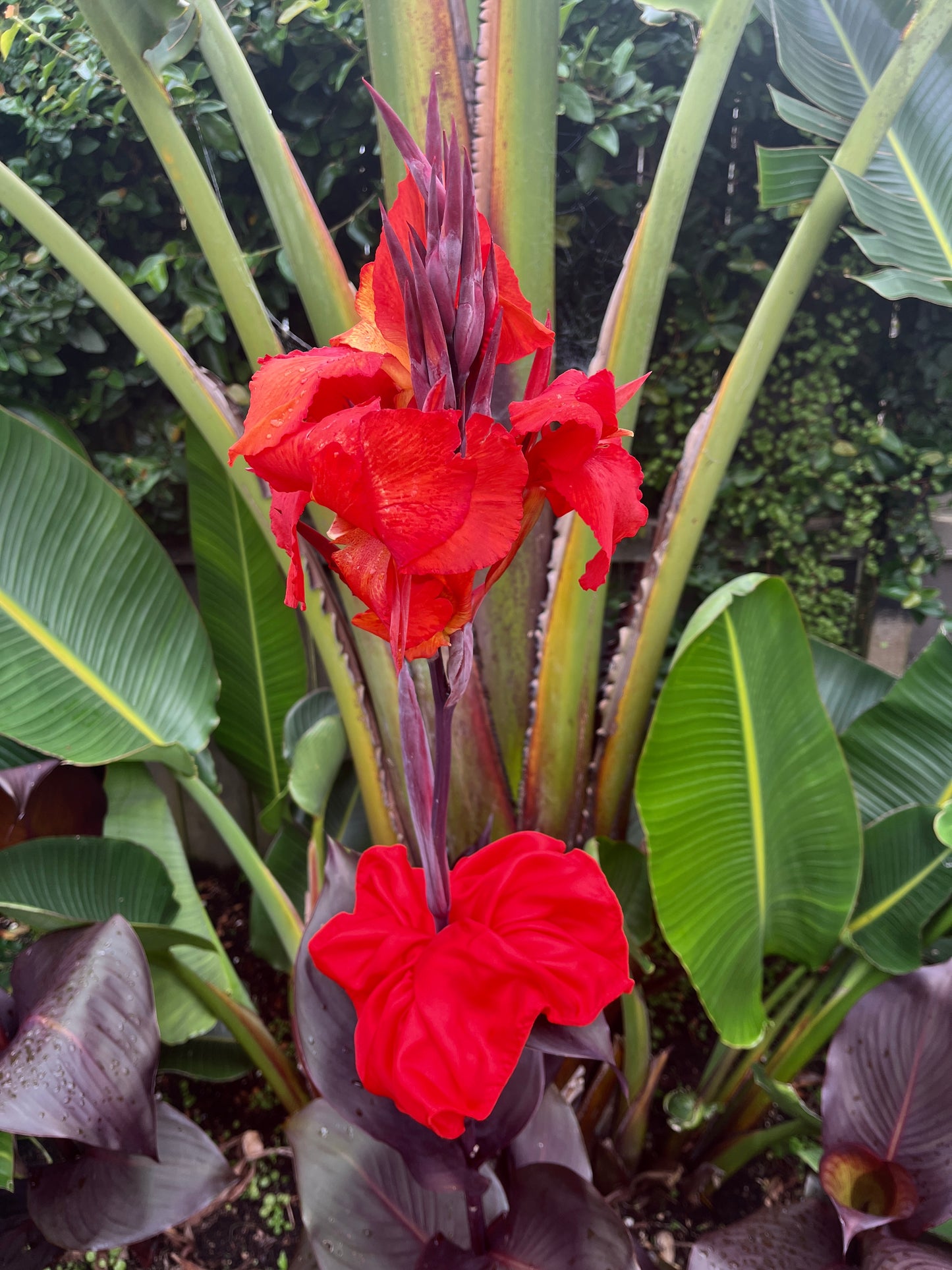 Scrunchie - Matte red
